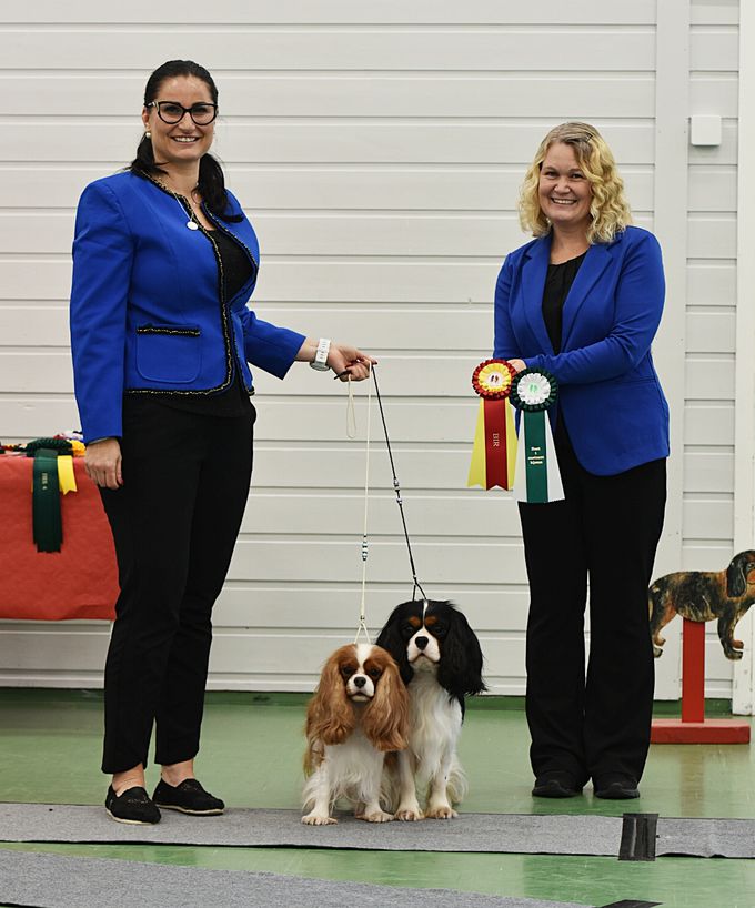 BOB, BOS
BEST IN SHOW
BREED SPECIALTY